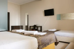 Room with two beds and a television